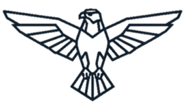 The Regulator AI Co-Pilot